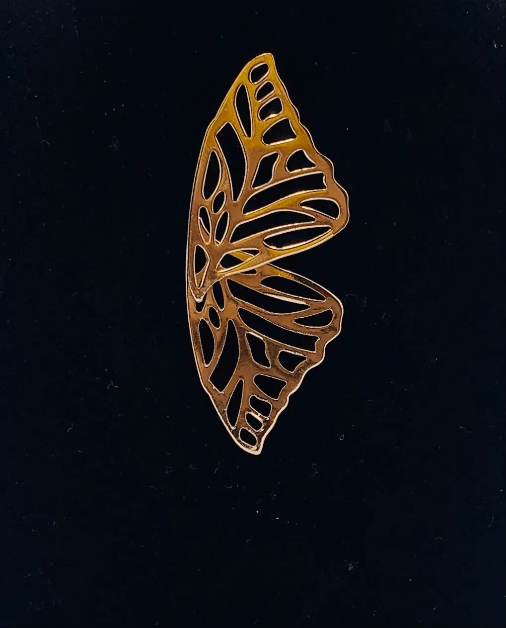 Butterfly Wing Earrings